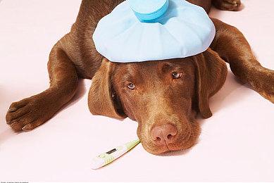 《火影忍者 终极风暴羁绊》Steam页面上线 可加愿望单